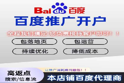 电商平台信息流广告的创意与优化：成功案例分析